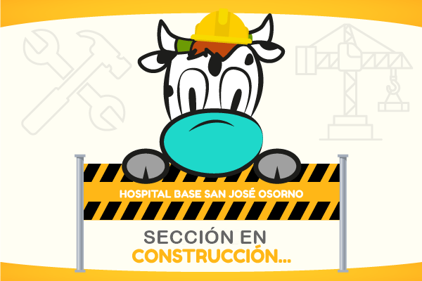 seccion en construccion