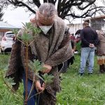 foto plantacion mapuche