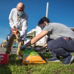 plantacion20212